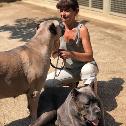 mejores-residencias-caninas-perros-zona-ciudad-cabrils