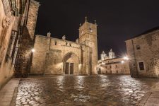 mejores-residencias-caninas-perros-zona-ciudad-caceres