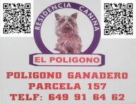 mejores-residencias-caninas-perros-zona-ciudad-caceres