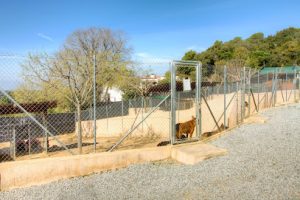 mejores-residencias-caninas-perros-zona-ciudad-can-massuet-del-far