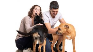 mejores-residencias-caninas-perros-zona-ciudad-chinchon