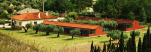 mejores-residencias-caninas-perros-zona-ciudad-chinchon