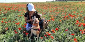 mejores-residencias-caninas-perros-zona-ciudad-ciudad-real