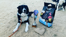 mejores-residencias-caninas-perros-zona-ciudad-ciudad-real