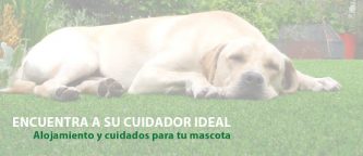 mejores-residencias-caninas-perros-zona-ciudad-cordoba