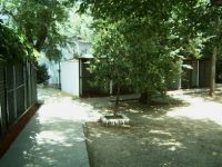 mejores-residencias-caninas-perros-zona-ciudad-cordoba