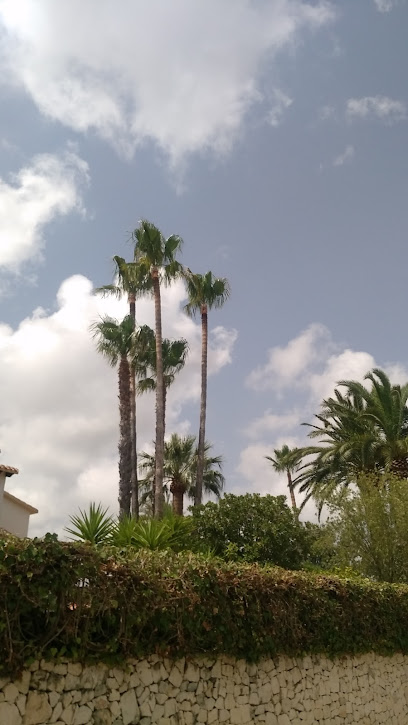 mejores-residencias-caninas-perros-zona-ciudad-denia