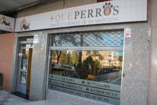 mejores-residencias-caninas-perros-zona-ciudad-don-benito