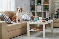 mejores-residencias-caninas-perros-zona-ciudad-dos-hermanas