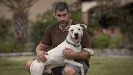 mejores-residencias-caninas-perros-zona-ciudad-estacion-de-cartama