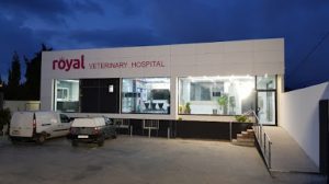 mejores-residencias-caninas-perros-zona-ciudad-fuengirola