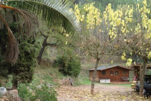 mejores-residencias-caninas-perros-zona-ciudad-gelida