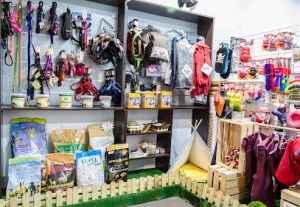 mejores-residencias-caninas-perros-zona-ciudad-getafe