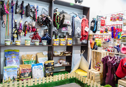 mejores-residencias-caninas-perros-zona-ciudad-getafe