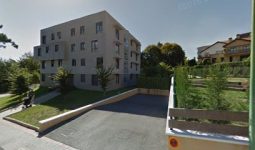 mejores-residencias-caninas-perros-zona-ciudad-getxo