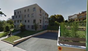 mejores-residencias-caninas-perros-zona-ciudad-getxo