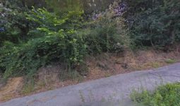 mejores-residencias-caninas-perros-zona-ciudad-getxo