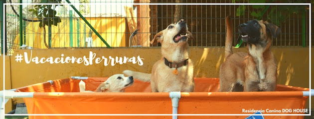 mejores-residencias-caninas-perros-zona-ciudad-granada