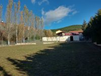 mejores-residencias-caninas-perros-zona-ciudad-huarte