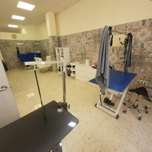 mejores-residencias-caninas-perros-zona-ciudad-jerez-de-la-frontera