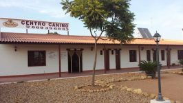 mejores-residencias-caninas-perros-zona-ciudad-lepe