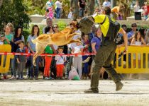 mejores-residencias-caninas-perros-zona-ciudad-los-barrios