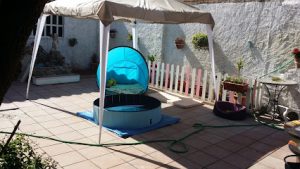 mejores-residencias-caninas-perros-zona-ciudad-manresa