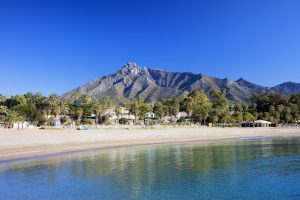 mejores-residencias-caninas-perros-zona-ciudad-marbella