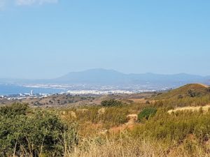 mejores-residencias-caninas-perros-zona-ciudad-marbella