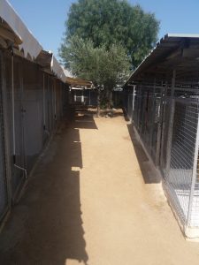 mejores-residencias-caninas-perros-zona-ciudad-mataro