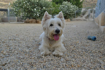 mejores-residencias-caninas-perros-zona-ciudad-mojacar