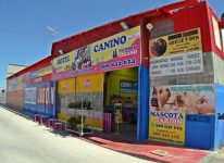 mejores-residencias-caninas-perros-zona-ciudad-molina-de-segura