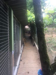 mejores-residencias-caninas-perros-zona-ciudad-naron