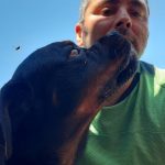 mejores-residencias-caninas-perros-zona-ciudad-oropesa