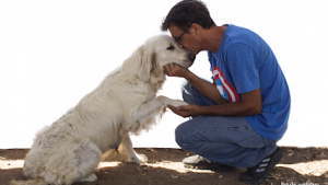 mejores-residencias-caninas-perros-zona-ciudad-pago-del-humo
