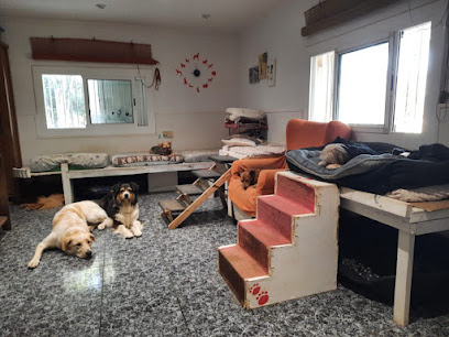 mejores-residencias-caninas-perros-zona-ciudad-palafolls