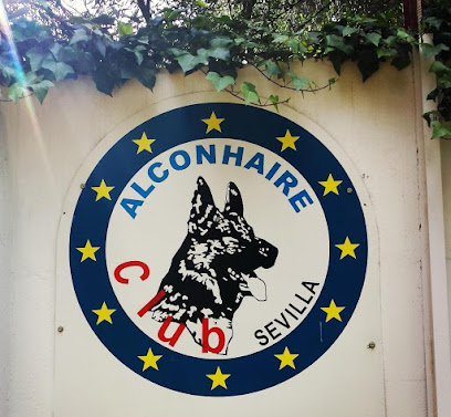 mejores-residencias-caninas-perros-zona-ciudad-palomares-del-rio