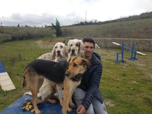 mejores-residencias-caninas-perros-zona-ciudad-puente-la-reina