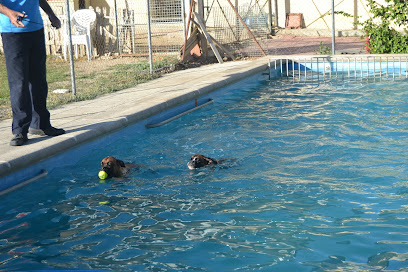 mejores-residencias-caninas-perros-zona-ciudad-residencial-tejar