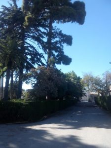 mejores-residencias-caninas-perros-zona-ciudad-riudoms