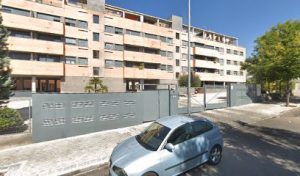 mejores-residencias-caninas-perros-zona-ciudad-rivas-vaciamadrid