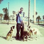 mejores-residencias-caninas-perros-zona-ciudad-roquetas-de-mar