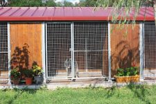 mejores-residencias-caninas-perros-zona-ciudad-sant-andreu-salou