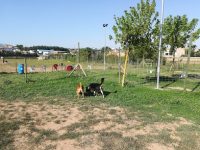 mejores-residencias-caninas-perros-zona-ciudad-sant-fruitos-de-bages