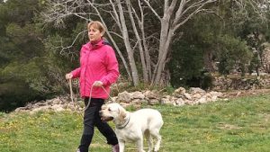 mejores-residencias-caninas-perros-zona-ciudad-tarragona