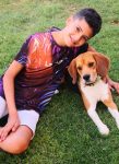 mejores-residencias-caninas-perros-zona-ciudad-torre-la-sal