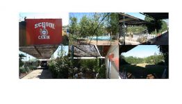 mejores-residencias-caninas-perros-zona-ciudad-torrepalma