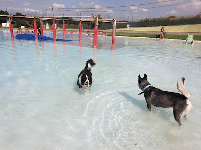 mejores-residencias-caninas-perros-zona-ciudad-valldoriolf