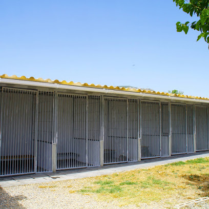 mejores-residencias-caninas-perros-zona-ciudad-valls