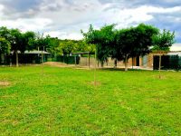 mejores-residencias-caninas-perros-zona-ciudad-ventallo